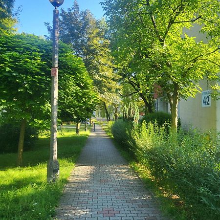 Przytulne Mieszkanie Wola Duchacka Apartment Krakow Luaran gambar