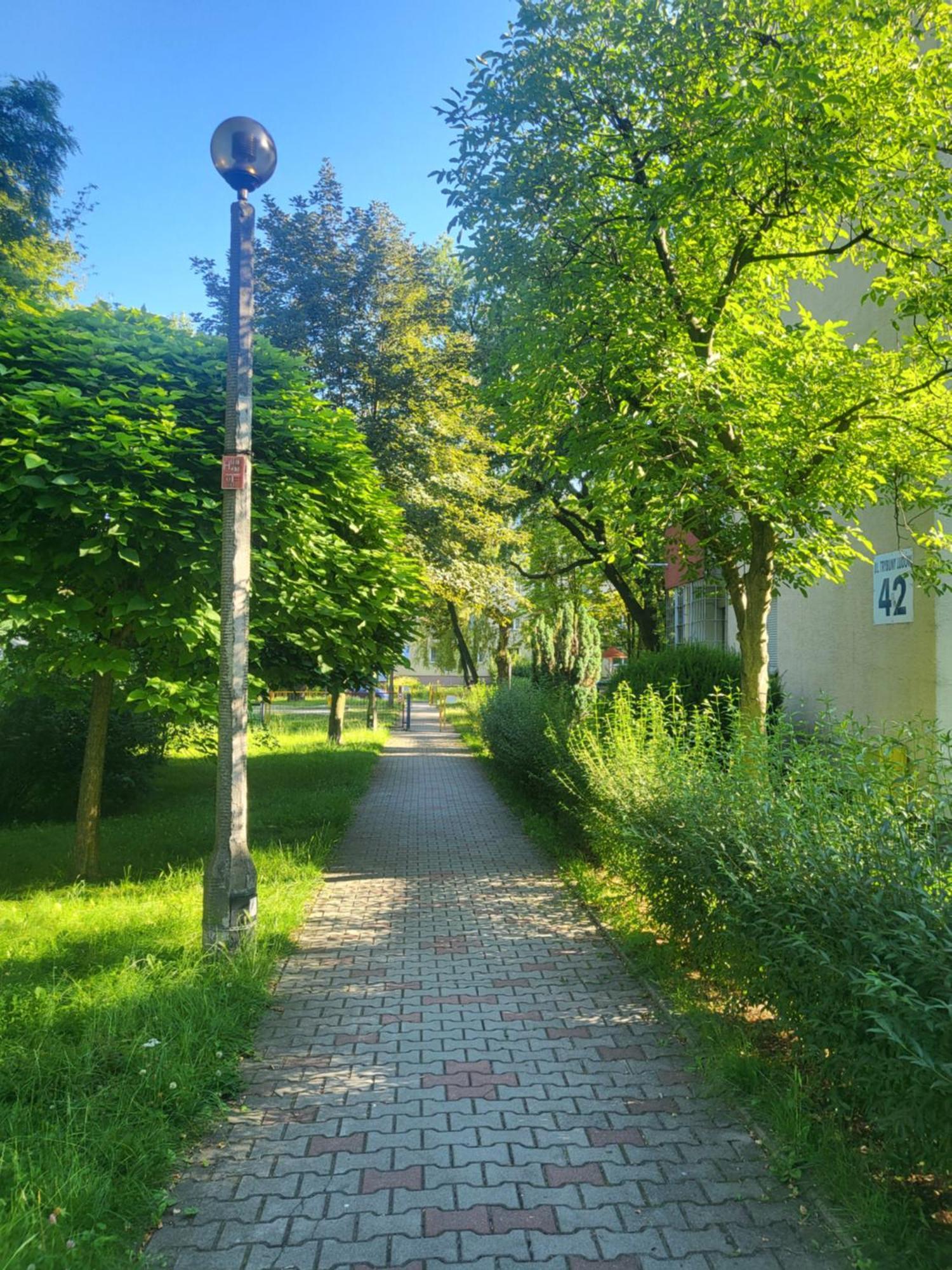 Przytulne Mieszkanie Wola Duchacka Apartment Krakow Luaran gambar